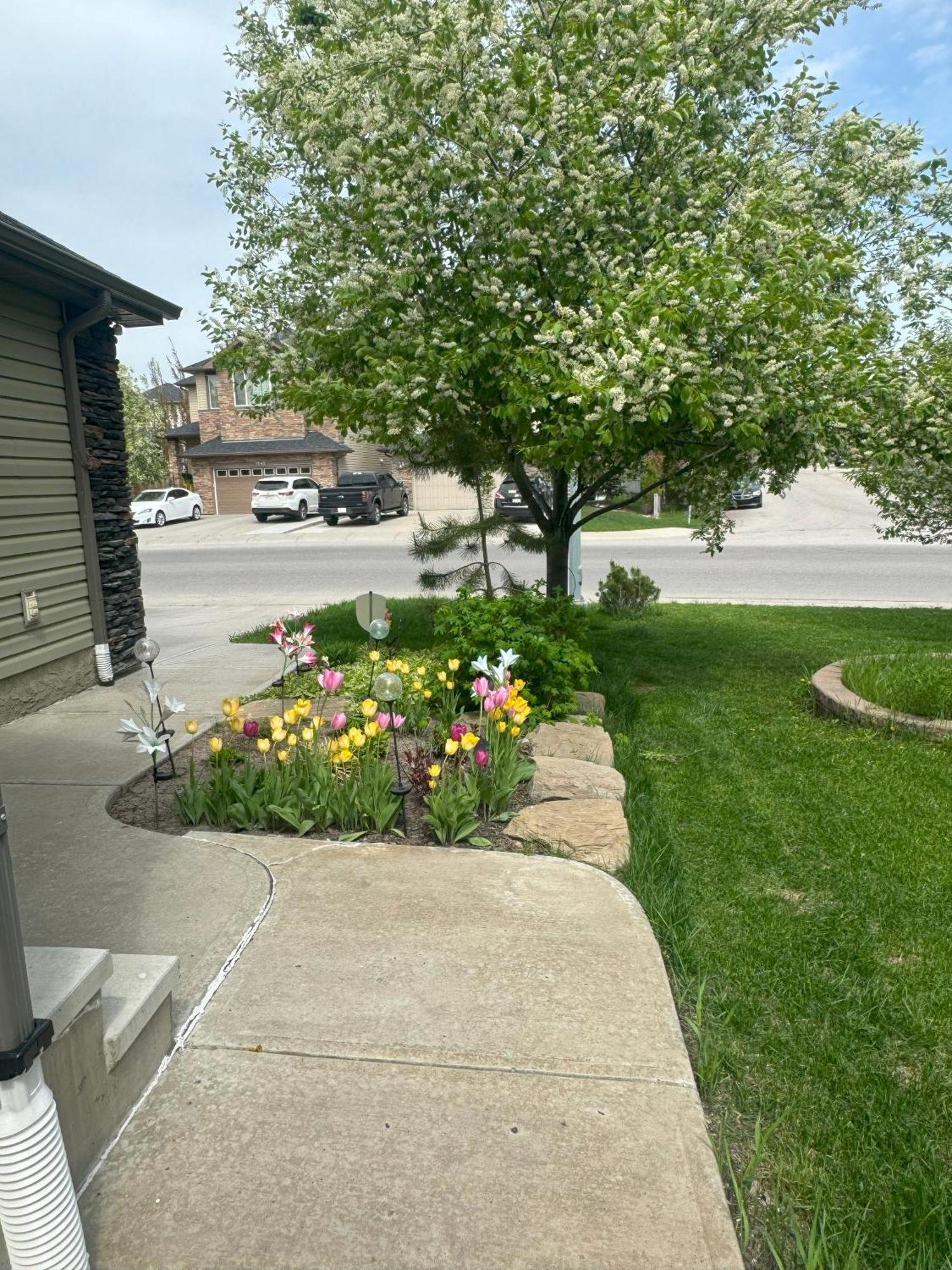 Spacious Private Walkout Entire Close To Yyc, Dt, Shops, Stampede & Mountains With Many Amenities In Panorama Hills Nw Calgary